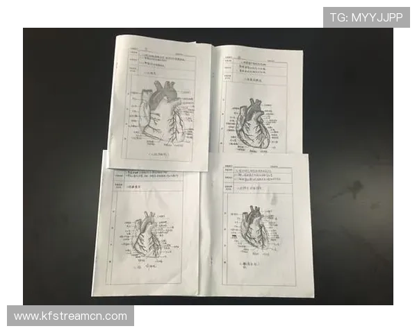K8体育全面解析：最新赛事资讯与专业分析助你掌握体育动态